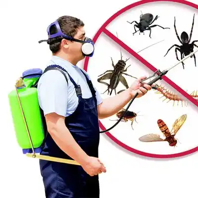 pest control Spencer